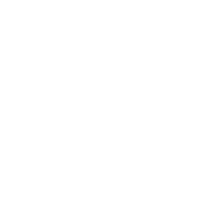d3-logo-white
